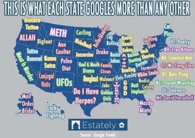 What Each State Googles