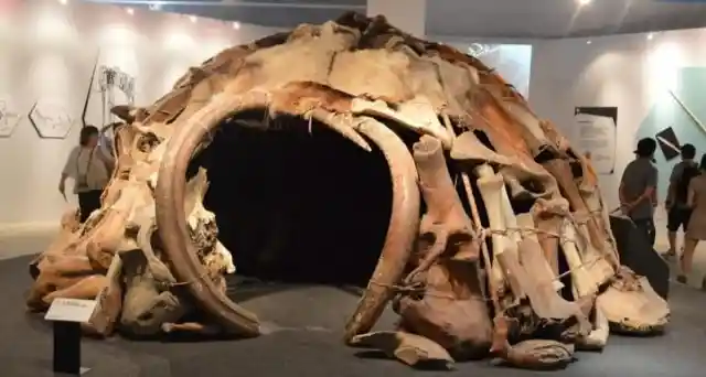 Huts Made Out of Mammoth Bones