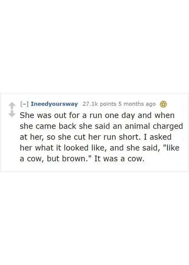 A Brown Cow