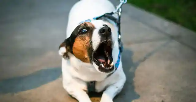 Old Jealousy Resurfaces