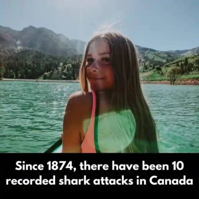 Canada’s Truce with Sharks