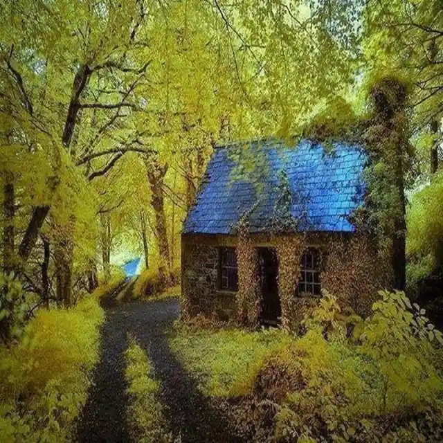 Cottage - Stradbally, Ireland