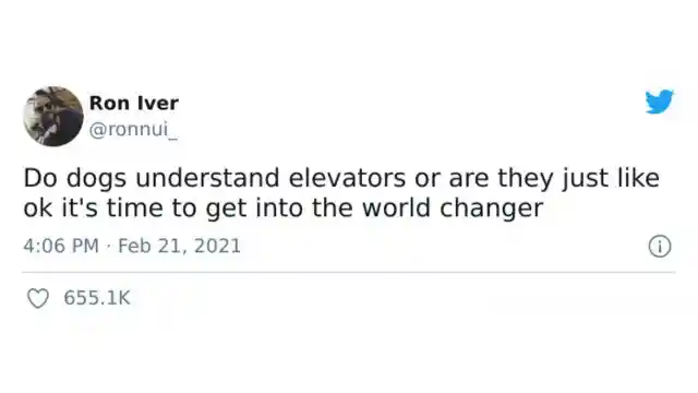 Elevators