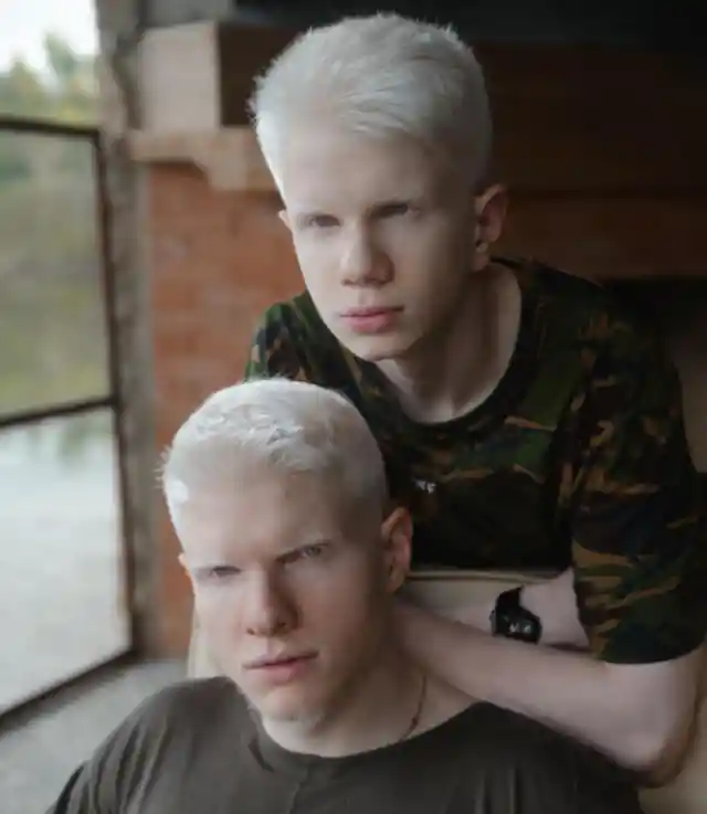  Albino Brothers Ivanishvili