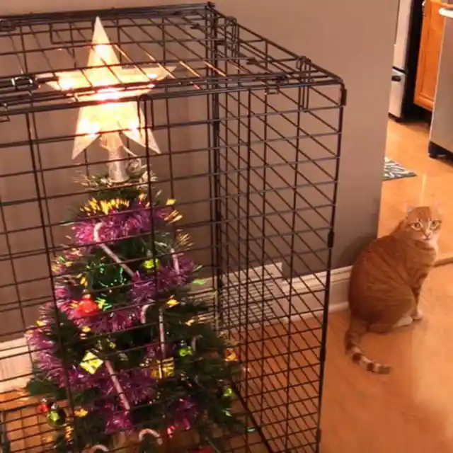 The Christmas Tree Destroyer