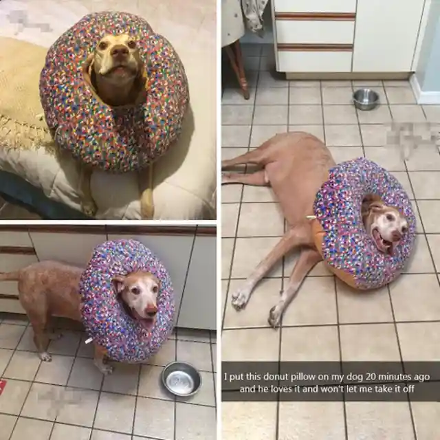 Donut Pillow