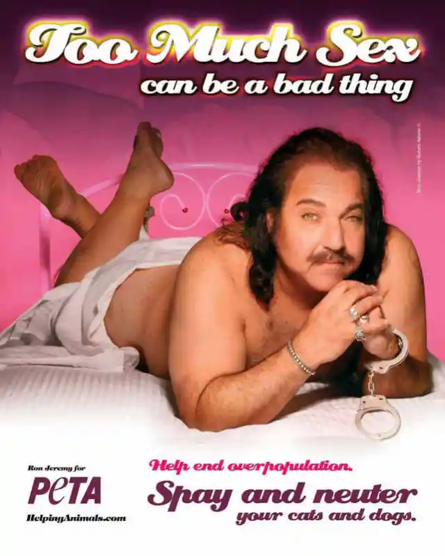 Porno for the Ethical Treatment of Animals