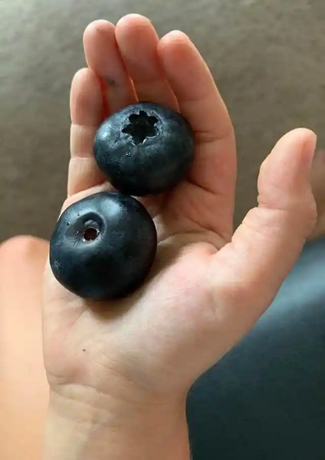 Berry Big Berries