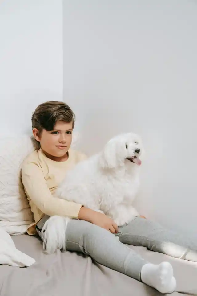 My Future MIL Told My Orphaned Little Brothers They'd Be 'Sent to a New Family Soon' – So We Gave Her the Harshest Lesson of Her Life
