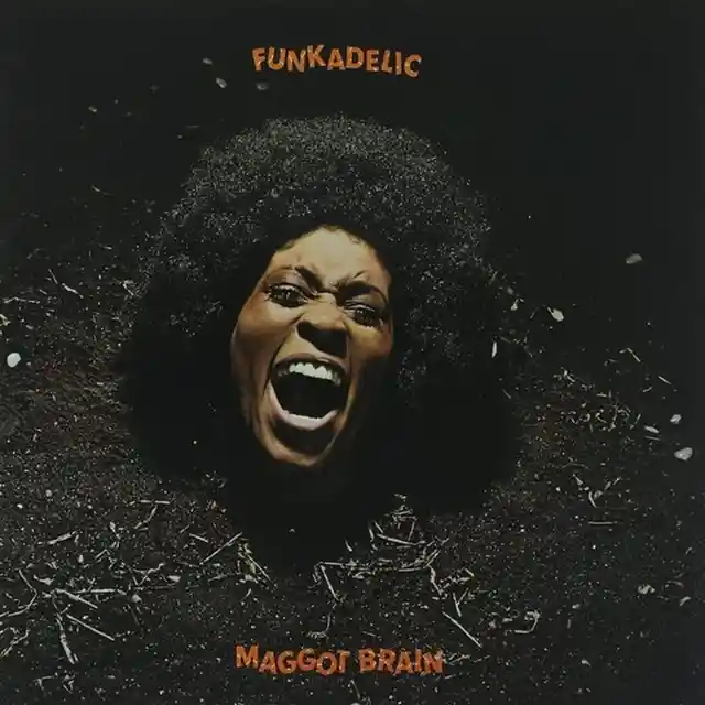 Quel autre groupe est la sœur de Funkadelic ?