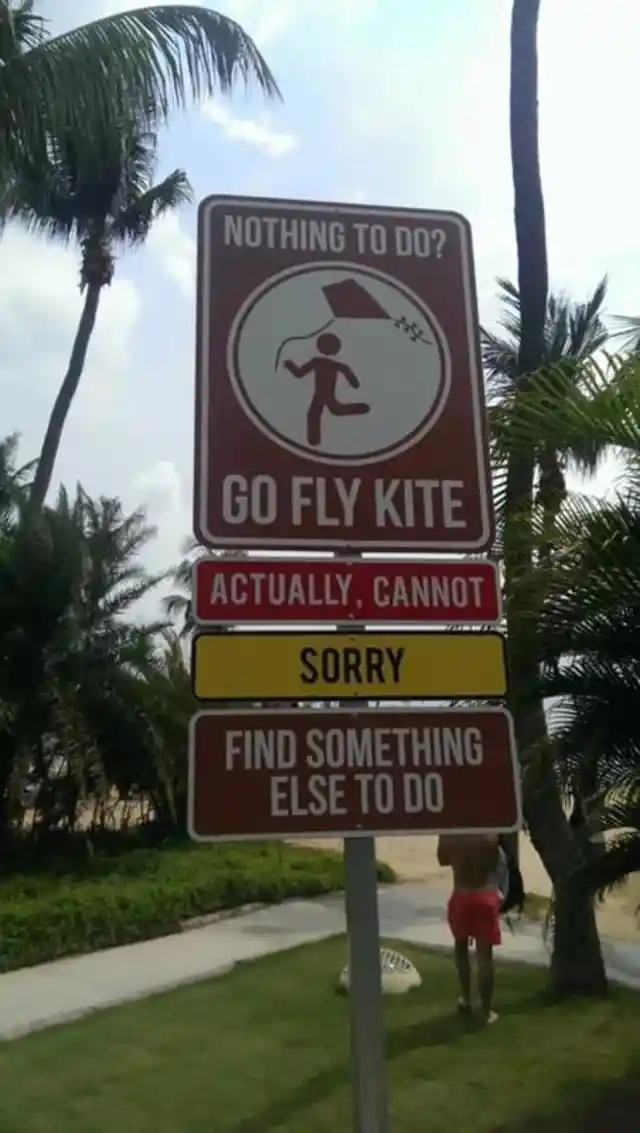 Fly a Kite