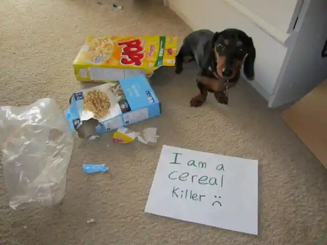 Cereal Killer