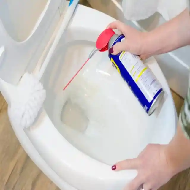 Finally, A Dependable Aid For Cleaning The Toilet