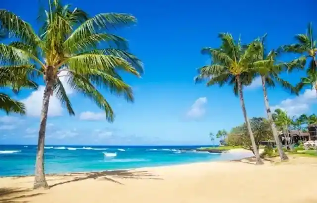 Hawaiian Beaches Are Open To The Public