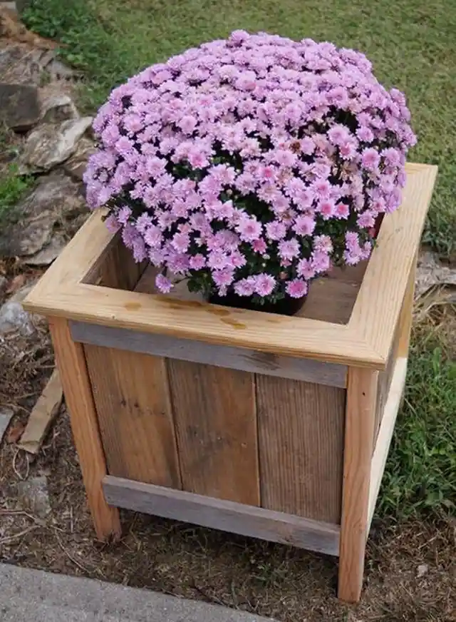 Simple Do-It-Yourself Plant Container