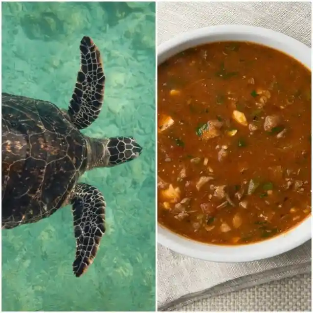 Snapping Turtle Soup