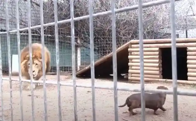 First Encounter