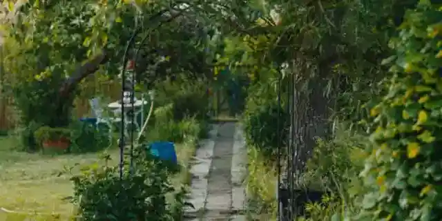 I Spent 40 Years Growing My Backyard Garden – My Children Covered It in Concrete While We Were Away