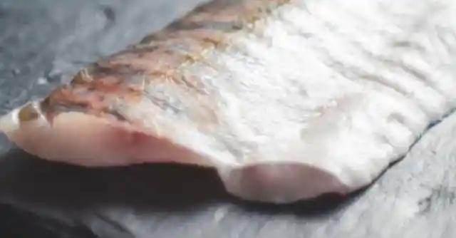 Just Fish