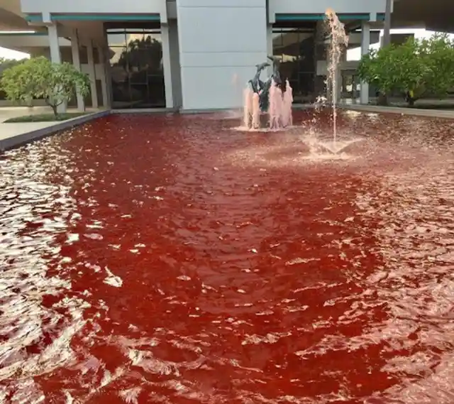 Red Fountain