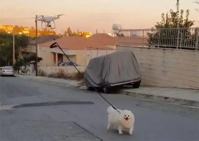 Cypriot Genius Uses Drone For Dog Walking During Isolation