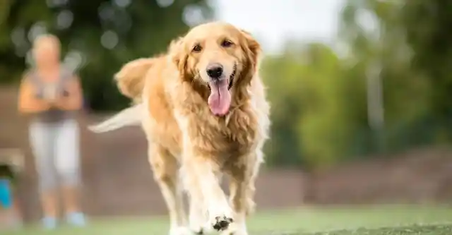 Morning Routine Turns into Frightening Mystery for Portland Family