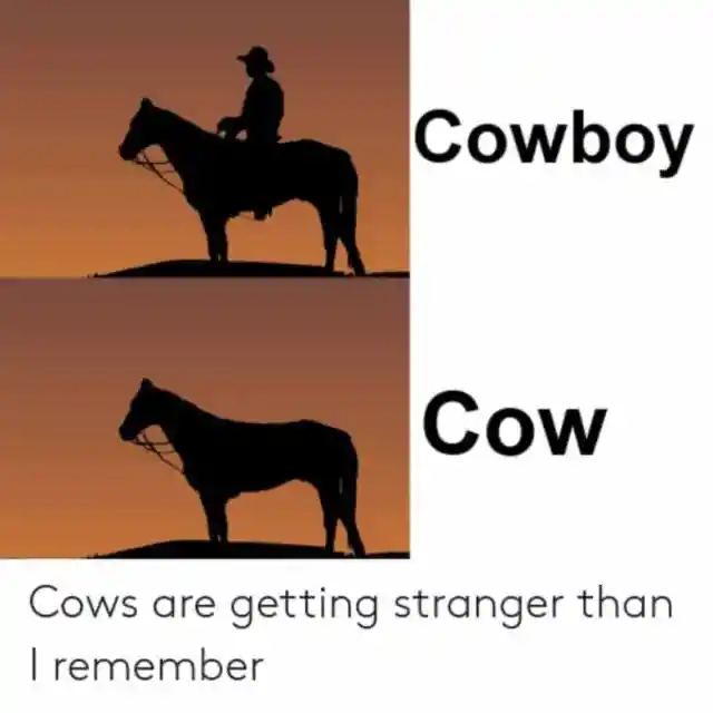 Cowboys On Horses