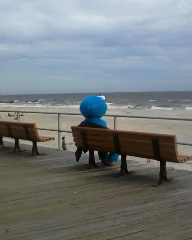 Lonely Cookie Monster