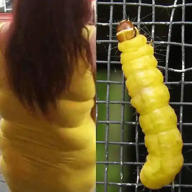 This Lady and a Cute Caterpillar