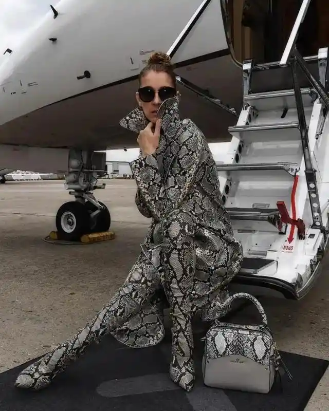 Celine Dion’s heart will go on for her private jet