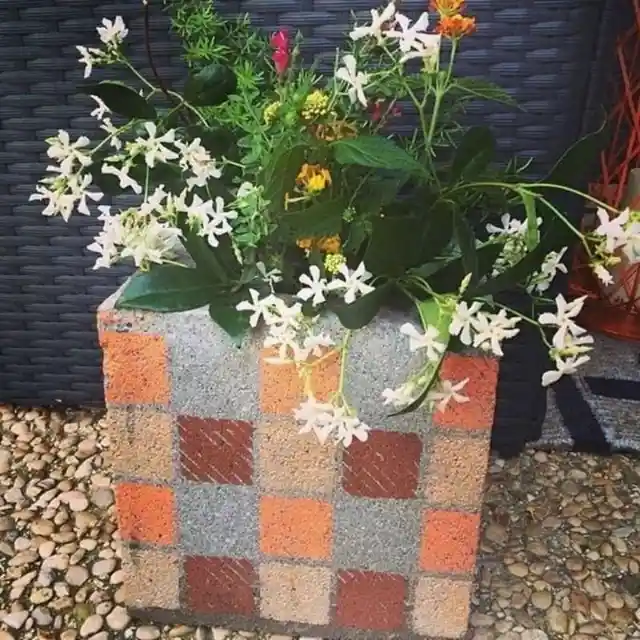 Colorful Flower Planter