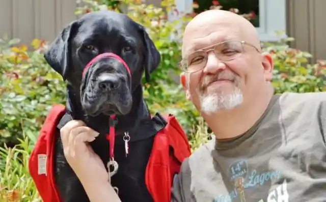 Manager Kicks Out Veteran and His Service Dog, But Two Words Change Everything
