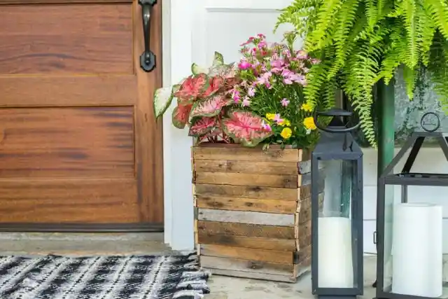 Turn a Trash Can into a Chic Planter