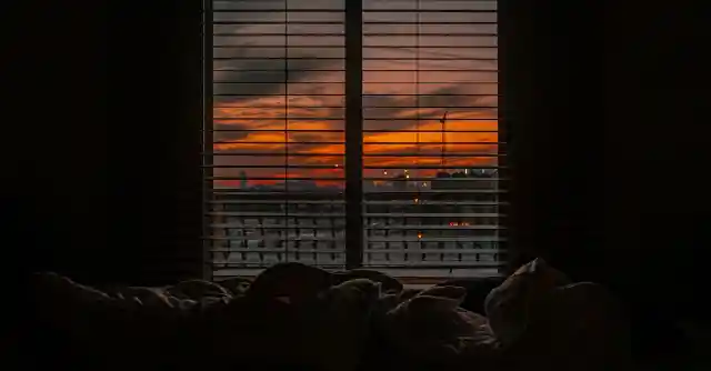 The Longest Night