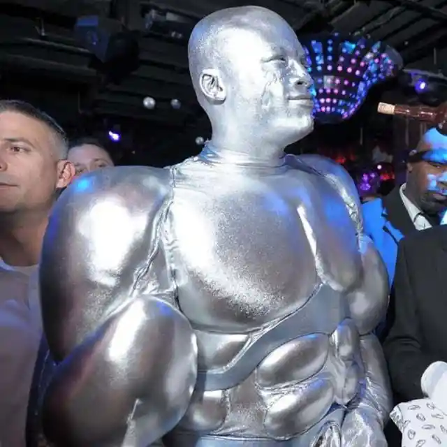 Seal as a Giant Metal Man