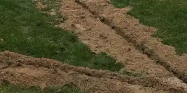 I Created a Beautiful $2,700 Lawn My Husband Always Dreamed Of – A Month Later, My Neighbor Decided She Could Do Whatever She Wanted with It