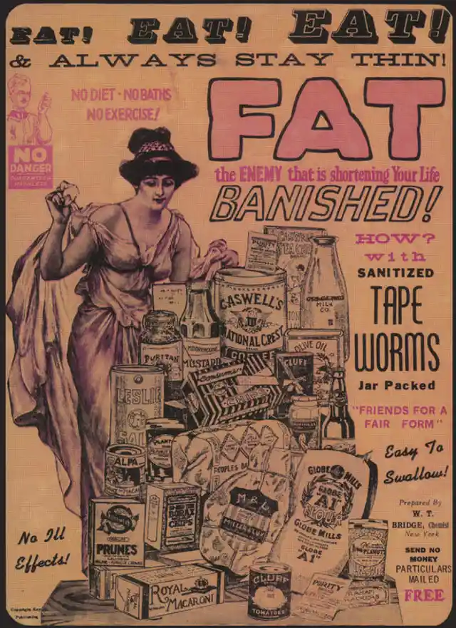 Tapeworms, Diet Edition