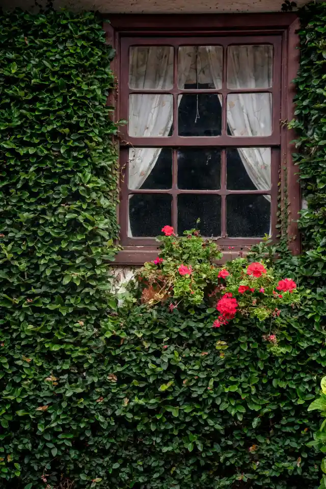 My Wife Kept Our Attic Locked for over 52 Years – When I Learned Why, It Shook Me to My Core