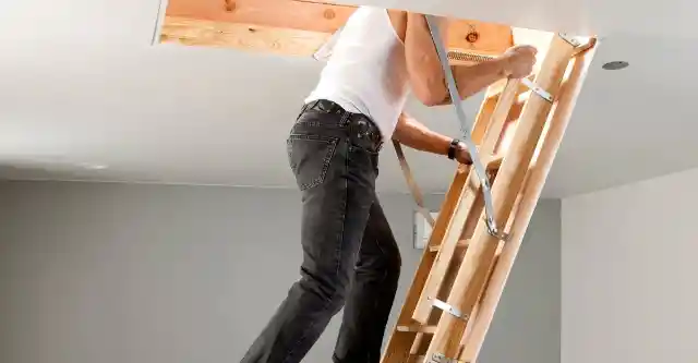 Luke Inspects the Attic