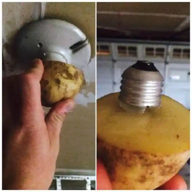 How Many Potatoes Does It Take To Unscrew A Light Bulb?