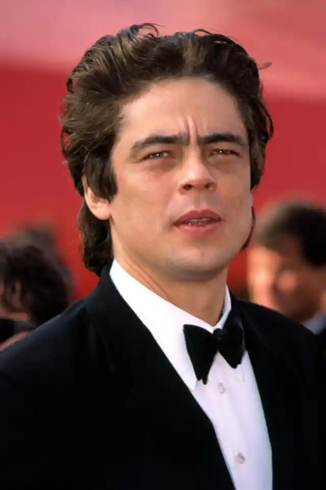 Fling: Benicio Del Toro