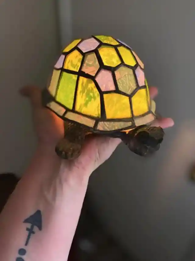 A Cute Stained Glass Turtle Lamp