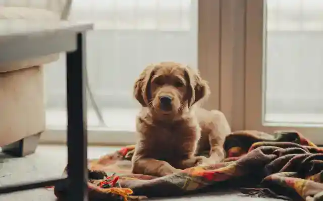 He Ran Inside