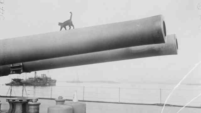 The Navy’s Pet