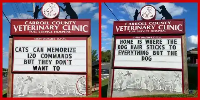 45 Signs To Make Your Pet's Vet Visit Enjoyable For Both Of You