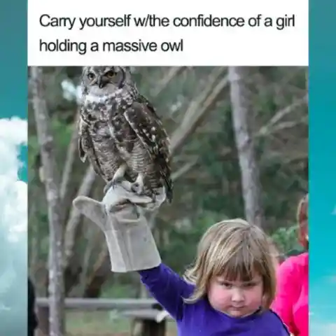 Have confidence...like an owl boss