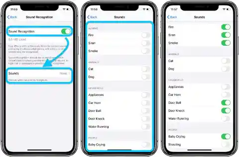 Keep Alert to Sounds Beyond Siri (iOS 14)