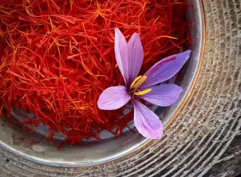 18. The Saffron Kingdom