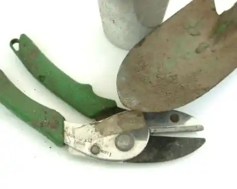 Clean your gardening tools