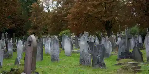 I Stumbled Upon a Headstone in the Woods and Saw My Childhood Photo on It – I Was Shocked When I Learned the Truth